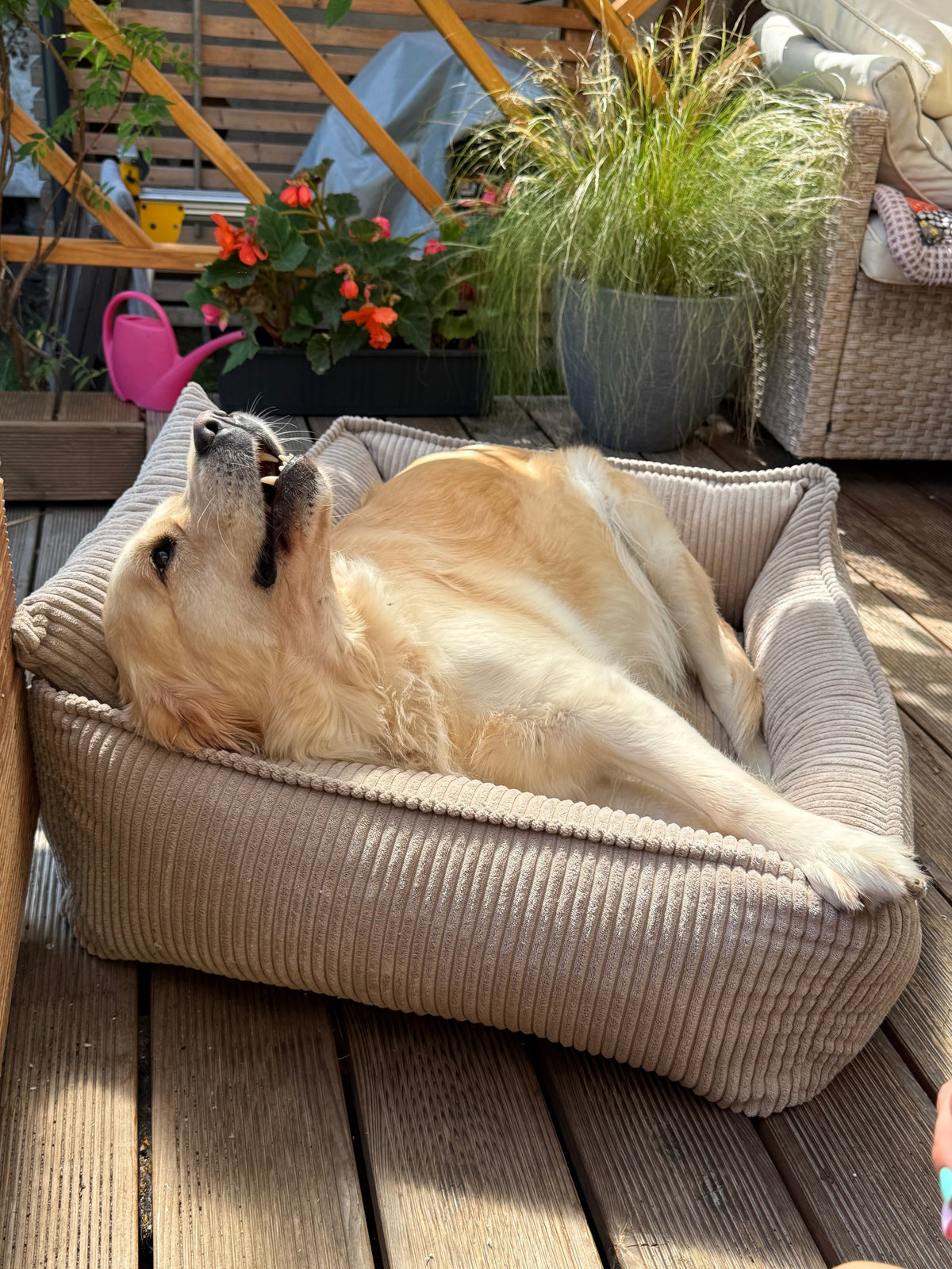 Lodie Corduroy Dog Sofa with Removable Cover – Cloud Grey, L