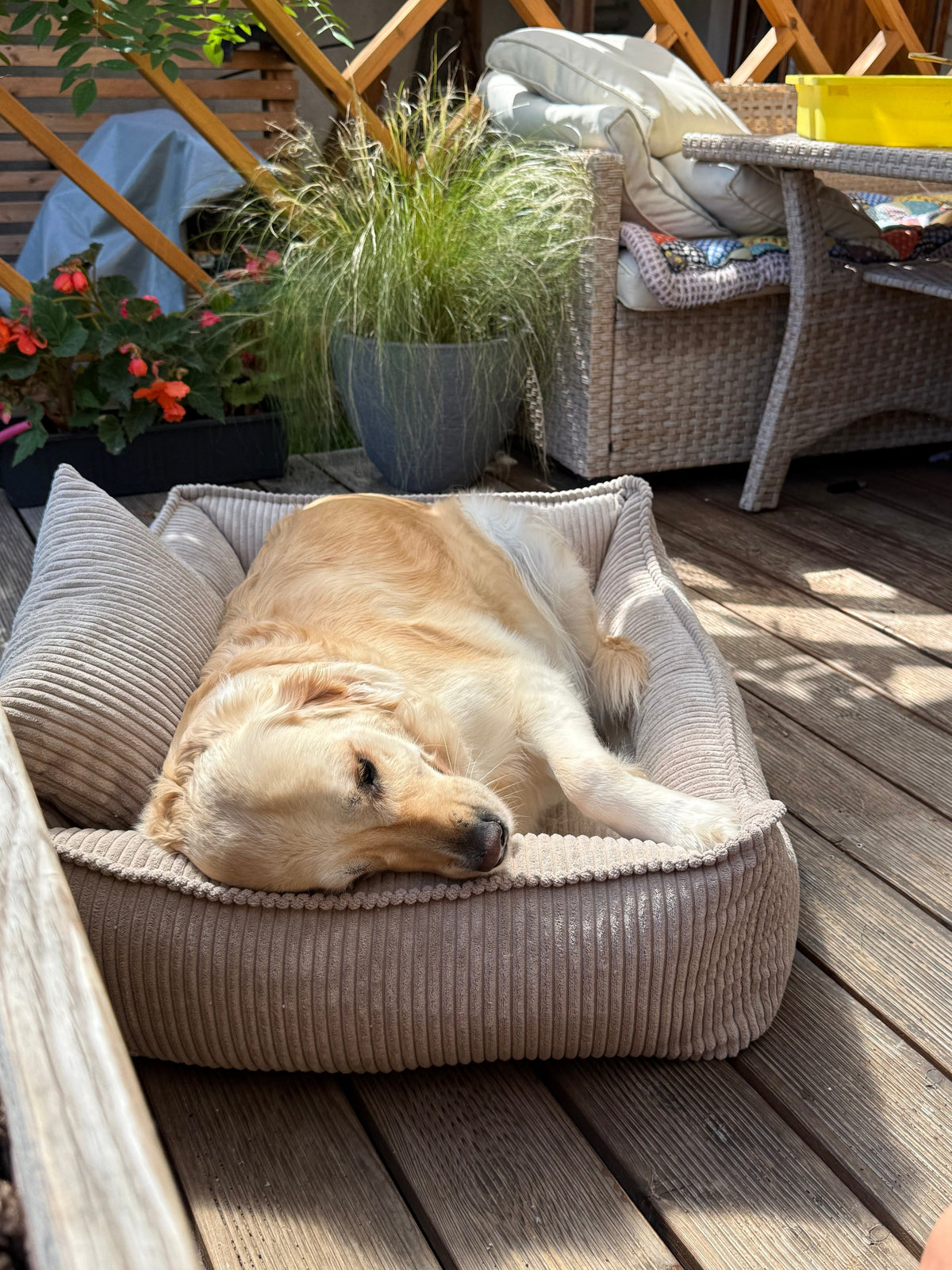 Lodie Corduroy Memory Foam Dog Sofa – Grey, S